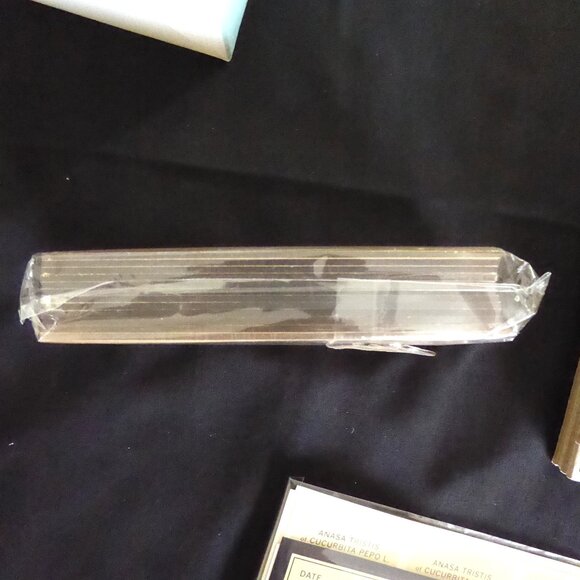 NEW 2007 MARTHA STEWART MAD SCIENTIST HALLOWEEN LAB SLIDES LABELS INVITATION KIT - Picture 8 of 13